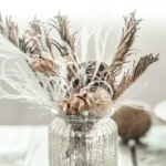 Faibloh: The Hidden Gem of the Blogosphere